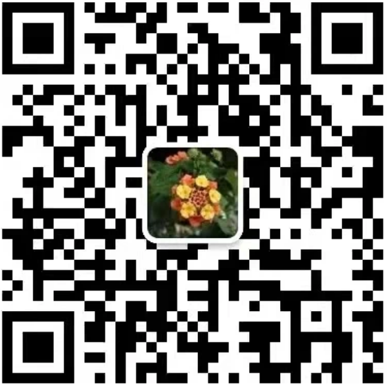 1754469988149741.png